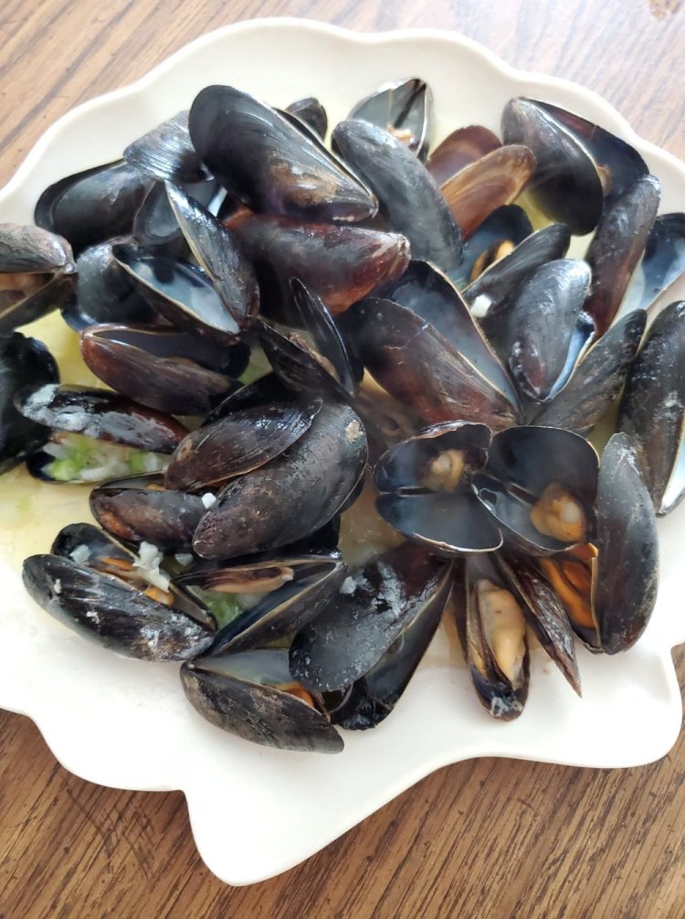 Mussels